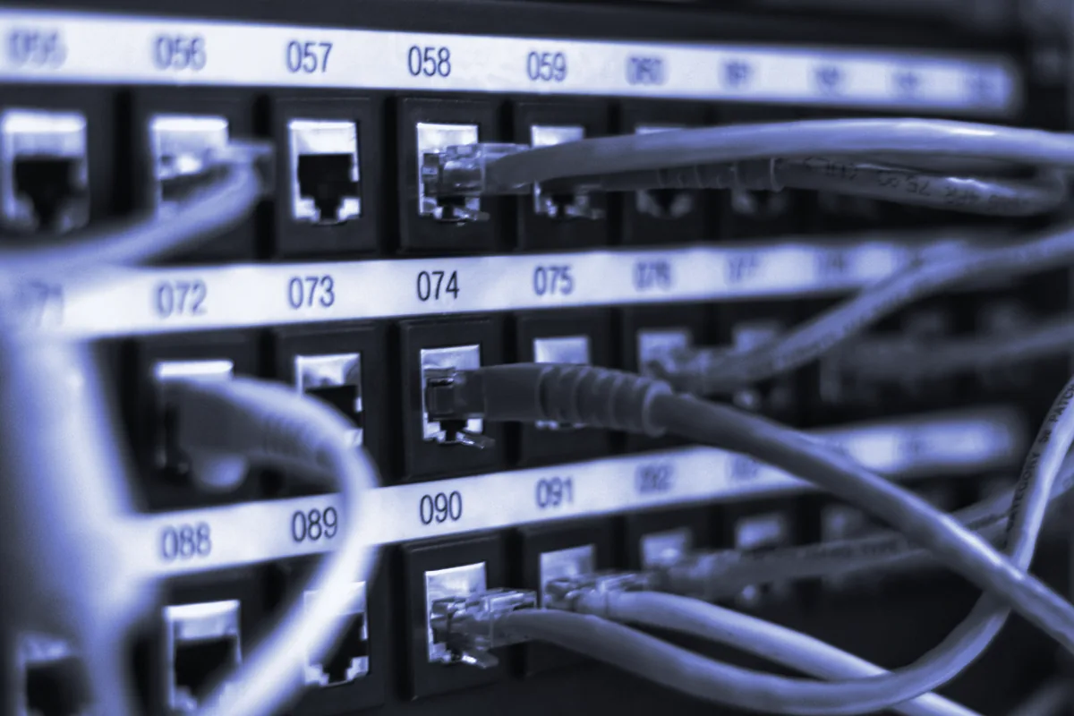 Panel de conexiones de red con los cables enchufados en sus puertos numerados