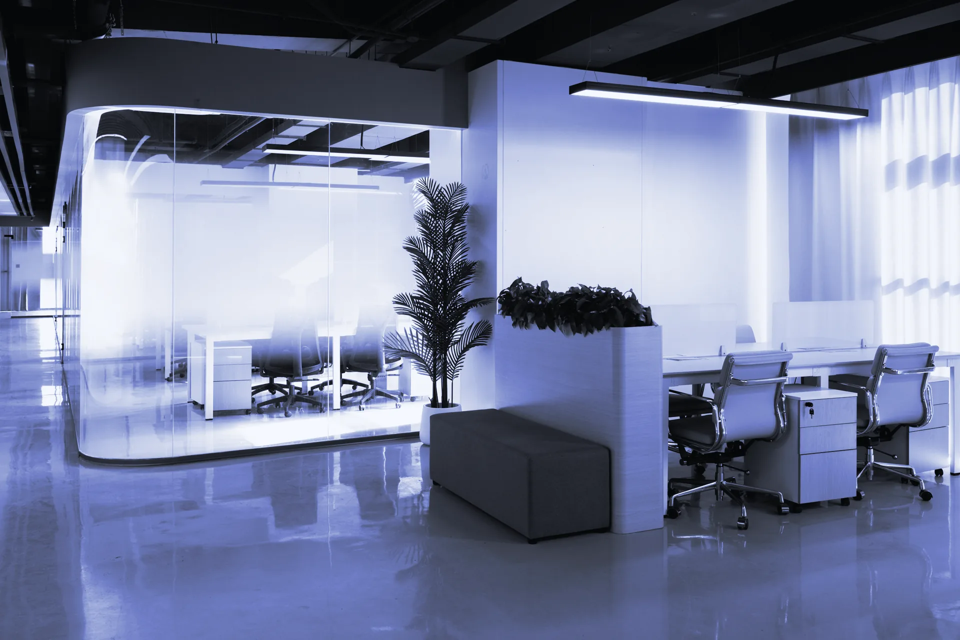 Oficina luminosa con puestos de trabajo, plantas y una sala acristalada